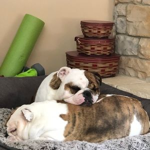 Meet your Posher, Susan